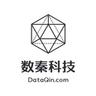 DataQin's logo