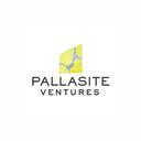 Pallasite Ventures
