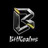 BitReamls's logo