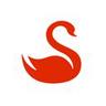 Red Swan Ventures, 专注于种子轮的风险投资公司。
