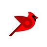 Bird.Money's logo