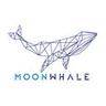 Moonwhale Ventures, Security Token Offering Financial Advisory & Investment Platform.