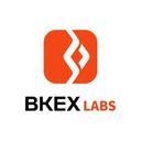 Bkex Labs, 7 years of experience in blockchain investment, asset management and project incubation.