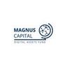 Magnus Capital, 帮助数字资产公司取得成功。