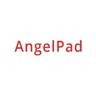 AngelPad, Programa de aceleradores de etapas semilla.