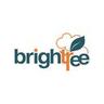 Brightree's logo