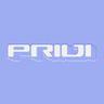 Privi Protocol's logo