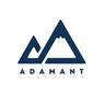 Adamant Research, 創立於 2015 年的數字資產研究機構，Tuur Demeester 爲其總編輯。
