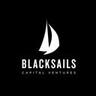 Black Sails Capital Ventures's logo
