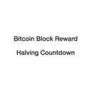 Bitcoin Block Half